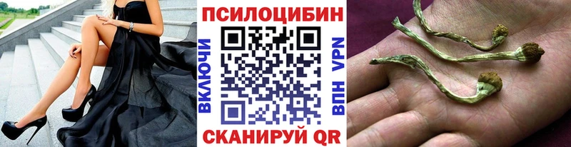 Купить закладки  Урай  Галлюциногенные грибы Psilocybe 